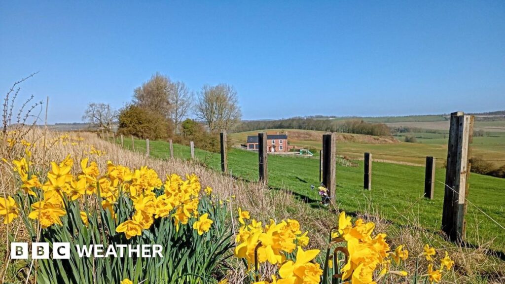 UK weather: Spring sunshine forecast to bring the warmest day of the year
