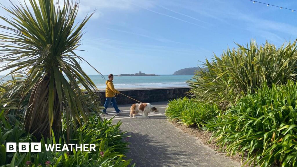 UK weather: Rain set ease for weekend as sunshine returns
