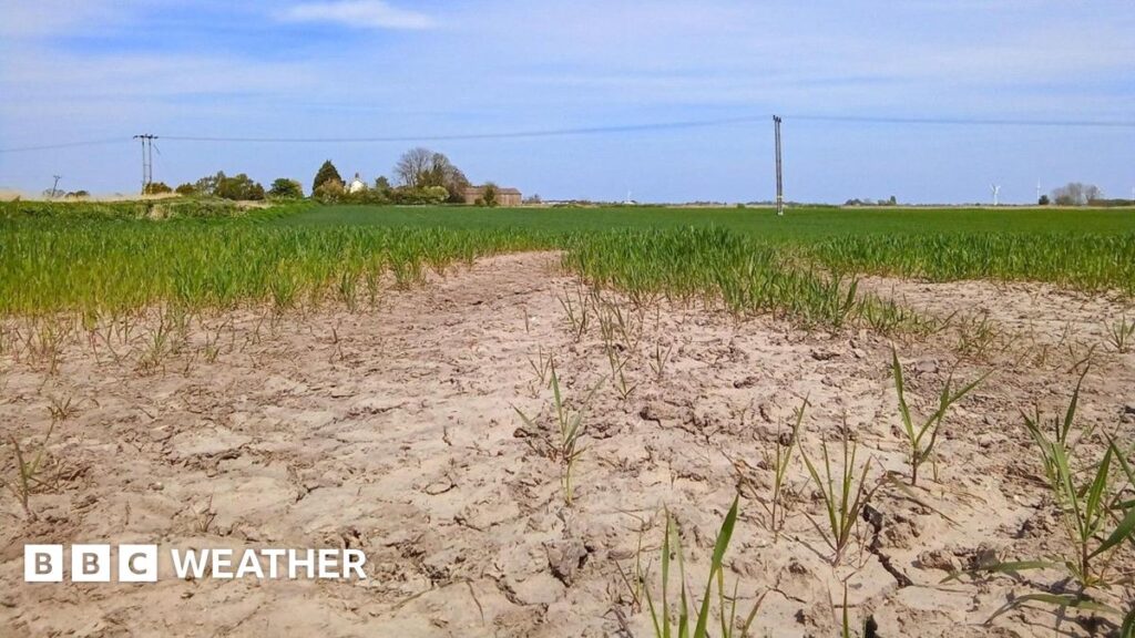 Is the UK at risk of drought again this summer?